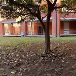 Apartment House In The Forum With Garage
